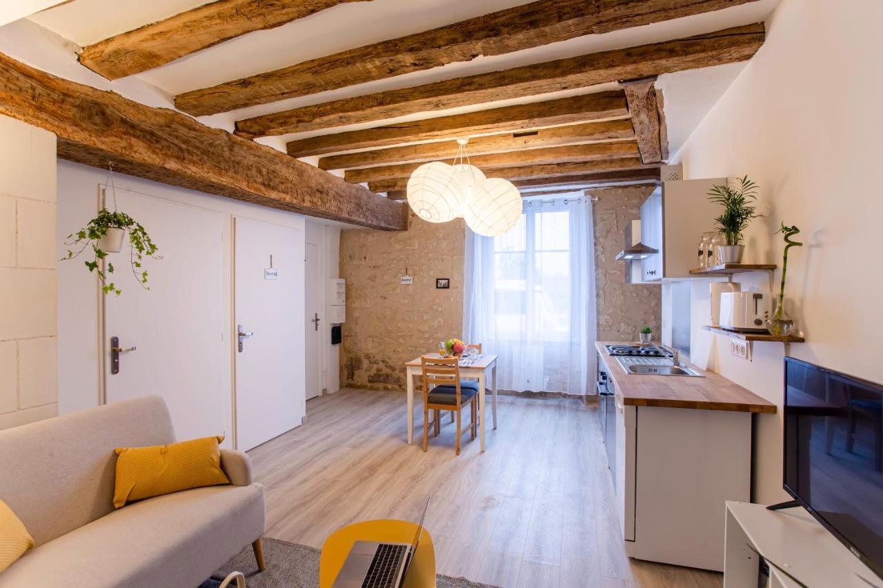 "Le Vinci" Chateaux, Loire & Centre-Ville 엉부와스 외부 사진
